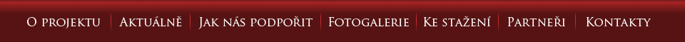 Původní grafika webu Elegance bez bariér